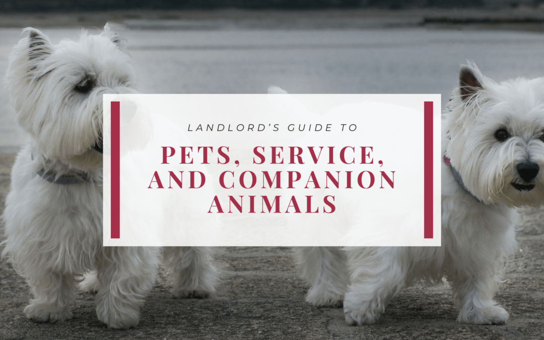 Kansas City Landlord’s Guide to Pets, Service, and Companion Animals